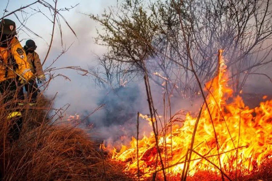 Incendio en Chilecito: ya se quemaron unas 900 has y se complica por el clima