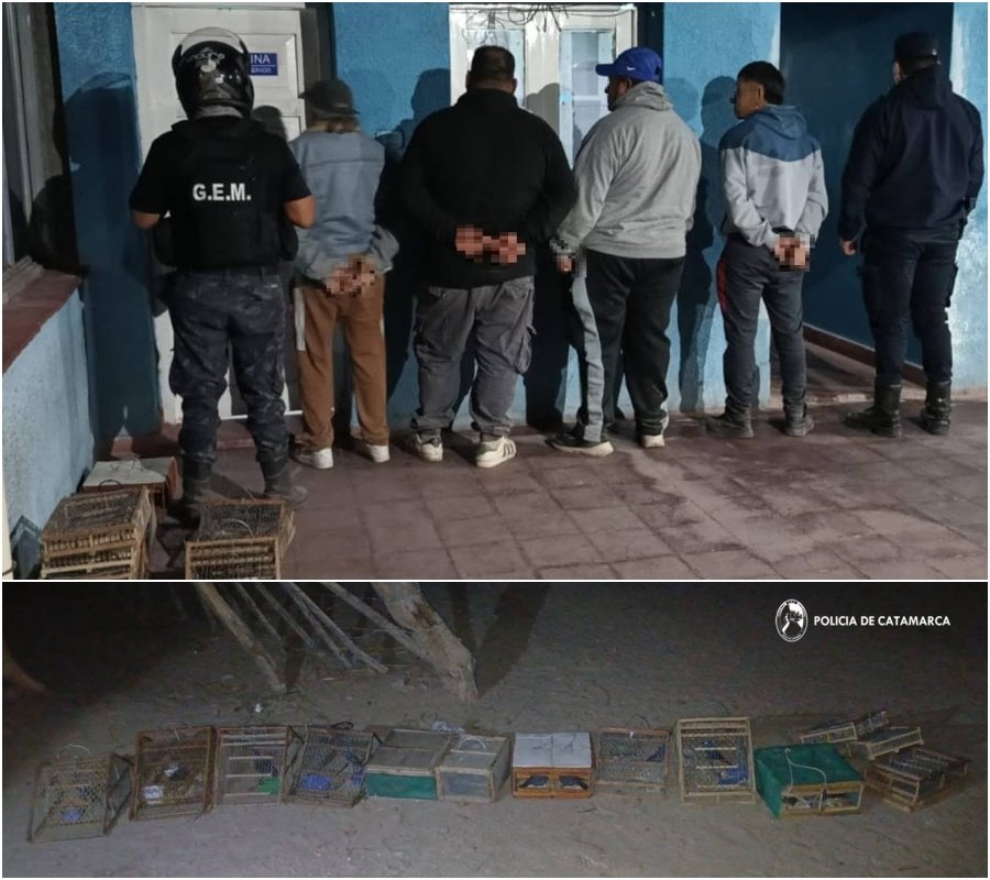 BELÉN: POLICÍAS APREHENDIERON A CUATRO SUJETOS, SECUESTRARON UN AUTO, AVES CANORAS Y OTROS ELEMENTOS