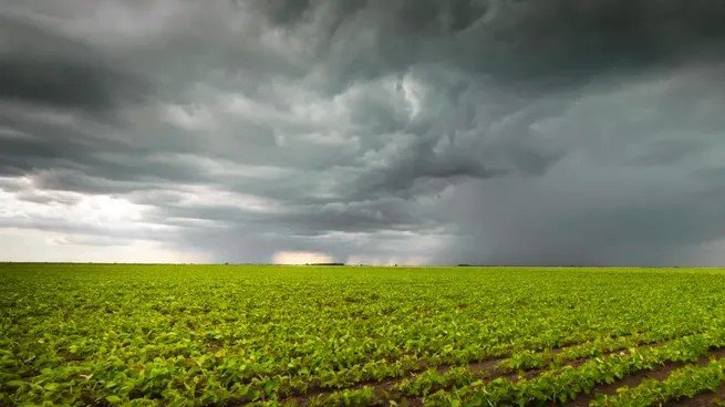 El fenómeno El Niño se acerca y enciende alertas: cómo puede impactar en la economía argentina