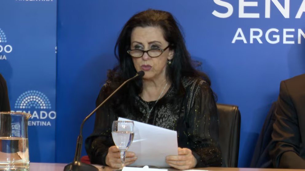“Estamos al borde del decrecimiento poblacional”: debate en el Senado sobre el desafío del envejecimiento de la sociedad