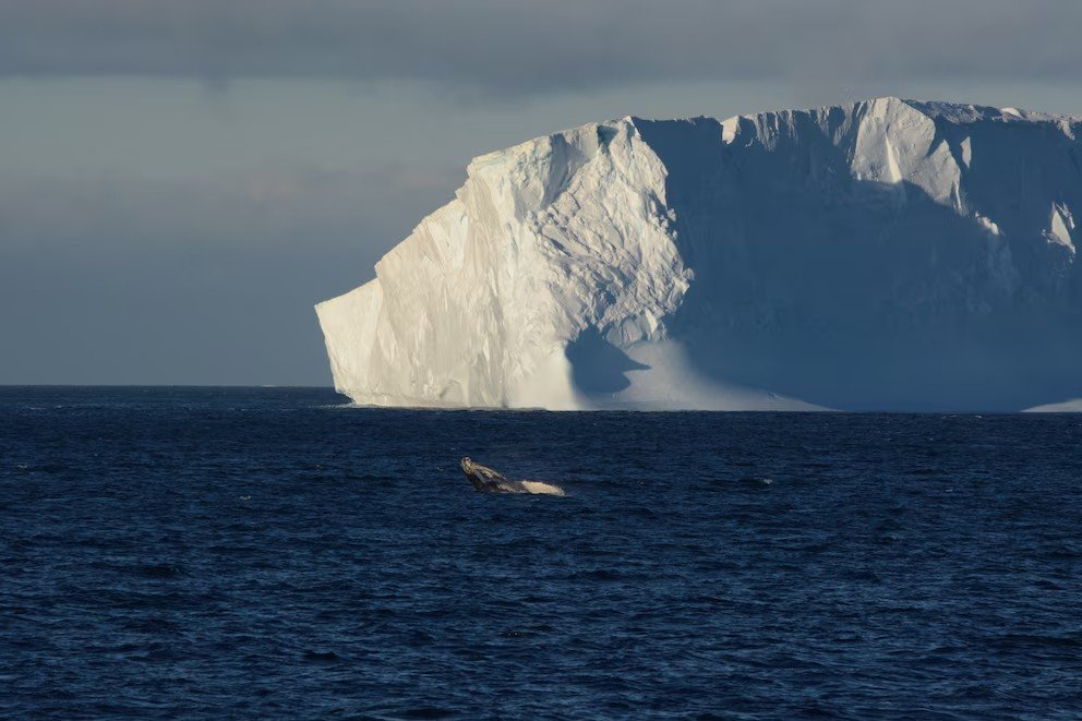 “El océano no puede seguir el ritmo”: el nuevo factor que podría desestabilizar una gran corriente del Atlántico y acercarla al colapso