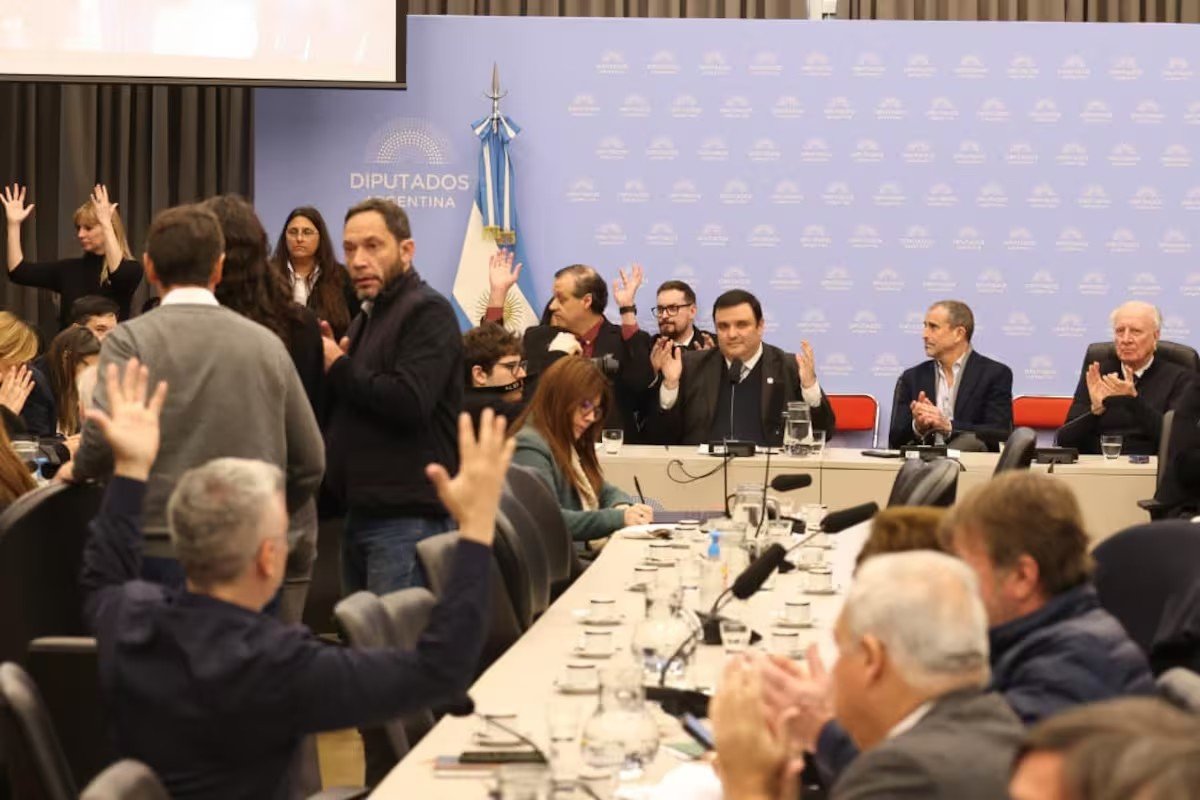 Discapacidad: el Gobierno dio marcha atrás y consiguió un dictamen, pero persiste la desconfianza por el proyecto