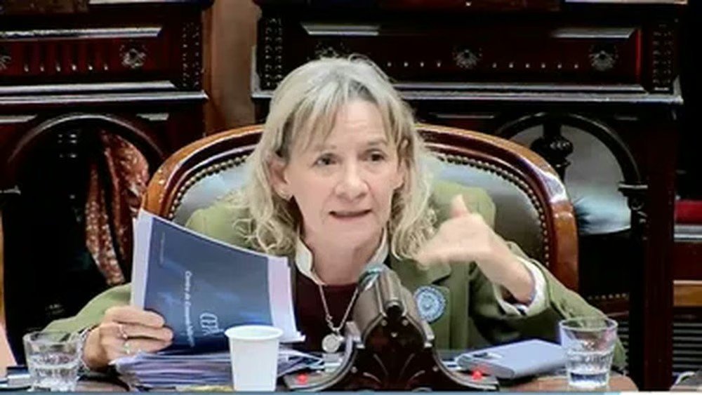 "Vaciamiento criminal en la salud pública": Palladino cuestionó el Presupuesto de Milei