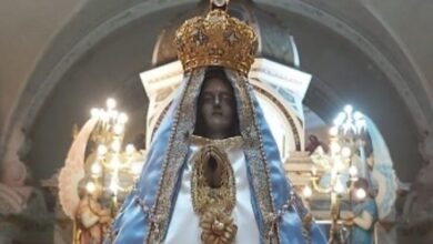 Photo of La Virgen visitará instituciones privadas