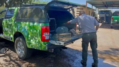 Photo of Rescataron aves protegidas que eran trasladadas ilegalmente desde Catamarca a Mendoza