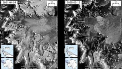 Photo of Preocupación por la velocidad de colapso de un glaciar en la Antártida: diez veces más rápido que los registros históricos