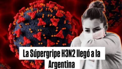 Photo of La ANLIS Malbrán detectó tres casos de influenza A (H3N2) subclado K en Argentina