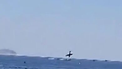 Photo of Tragedia. Cayó una avioneta publicitaria en el mar de Copacabana: confirman la muerte del piloto