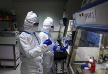 Photo of Qué se sabe de la nueva variante de gripe H3N2 que provoca récord de casos en Europa