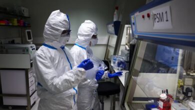 Photo of Qué se sabe de la nueva variante de gripe H3N2 que provoca récord de casos en Europa