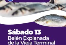 Photo of Pescado para Todos está de vuelta en Belén