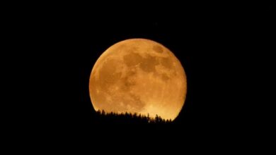 Photo of Superluna de diciembre: cuándo observar el fenómeno astronómico que no se repetirá hasta 2042