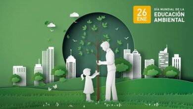 Photo of Día Mundial de Educación Ambiental: cómo surgió y de qué manera se celebra