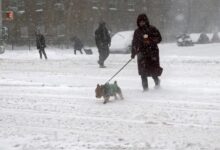 Photo of Al menos 21 muertes por la tormenta de nieve en Estados Unidos: avanza el vórtice polar