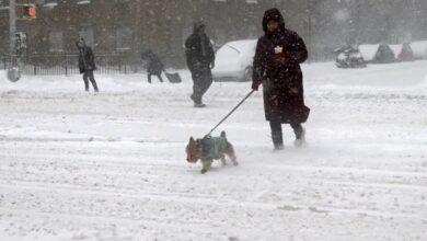 Photo of Al menos 21 muertes por la tormenta de nieve en Estados Unidos: avanza el vórtice polar