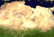 Photo of Qué es la Gran Muralla Verde del desierto de Sahara que funciona como barrera vegetal en África