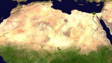 Photo of Qué es la Gran Muralla Verde del desierto de Sahara que funciona como barrera vegetal en África