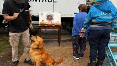 Photo of Cayó una mujer de 76 años con casi 3 kilos de droga escondidos en piñatas