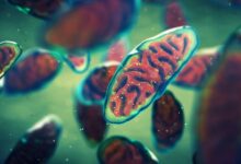 Photo of Comprueban un nexo entre el riesgo de contagio de la “supergripe” H3N2 y un efecto que deja el Covid