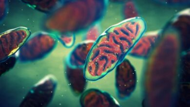 Photo of Comprueban un nexo entre el riesgo de contagio de la “supergripe” H3N2 y un efecto que deja el Covid