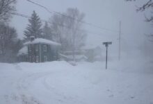 Photo of Nueva York atraviesa una helada histórica y registra temperaturas más bajas que en zonas de la Antártida