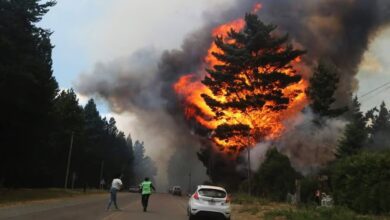 Photo of Incendios en Chubut: brigadistas retoman el combate y esperan con optimismo dos jornadas de lluvia leve