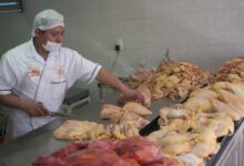 Photo of Inflación de febrero: cuáles fueron los alimentos que más subieron y qué producto se hundió 22 por ciento