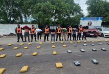 Photo of Tucumán: descubrieron más de 200 kilos de marihuana en un camión que iba a Córdoba y hay seis detenidos