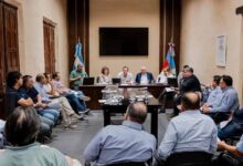 Photo of Natella: «Vamos a analizar cada municipio en particular para definir la asistencia»