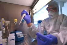 Photo of «Cicada», la nueva variante de COVID que está bajo la lupa de la OMS