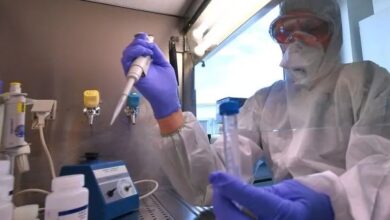 Photo of «Cicada», la nueva variante de COVID que está bajo la lupa de la OMS