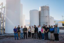 Photo of En Tinogasta se van procesando más de 6 millones de kilos de uva