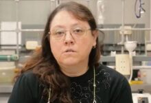 Photo of Asesinaron a una reconocida investigadora del CONICET e investigan si se trató de un femicidio