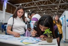 Photo of Catamarca lanza un programa de becas universitarias