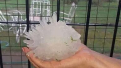 Photo of Imágenes impactantes: desastre en Río Tercero por un temporal de lluvia, viento y granizo