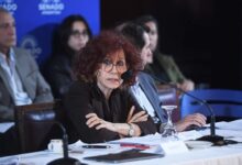 Photo of El Gobierno envió al Senado su proyecto de modificación de la Ley de Salud Mental: qué cambiaría
