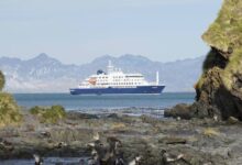 Photo of Al menos tres muertos en un crucero en el Atlántico tras un brote vinculado a hantavirus