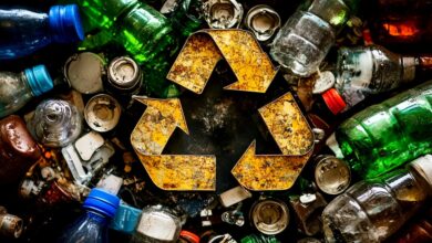 Photo of Día Mundial del Reciclaje: 9 acciones simples para reducir residuos desde casa
