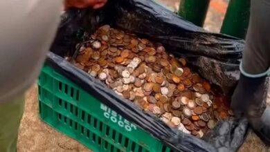 Photo of Encontraron 400 kilos de monedas en las Cataratas del Iguazú: por qué estaban ahí y por qué es peligroso