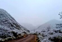 Photo of Ola polar en Catamarca, nevadas en zonas serranas