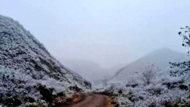 Photo of Ola polar en Catamarca, nevadas en zonas serranas