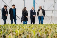 Photo of Empresa agroindustrial inaugura un vivero con tecnología de avanzada en FME