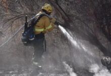 Photo of El fuego en Cafayate abrió una polémica por un posible negocio inmobiliario