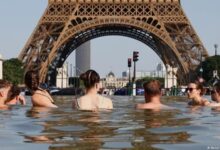 Photo of Máxima preocupación por la ola de calor: Francia registró 40 muertos en 5 días