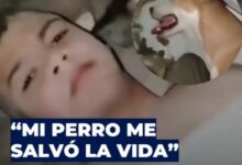 Photo of Rescatan a niño tras 14 días bajo los escombros en Venezuela: “Mi perro me lamía cuando yo me desmayaba”