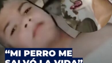 Photo of Rescatan a niño tras 14 días bajo los escombros en Venezuela: “Mi perro me lamía cuando yo me desmayaba”