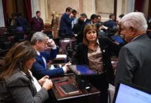 Photo of Se cayó la reforma de la ley de Tierras: qué pasó y cómo reaccionaron en el Senado